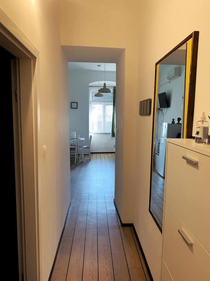 Apartmani Lucin リエカ エクステリア 写真